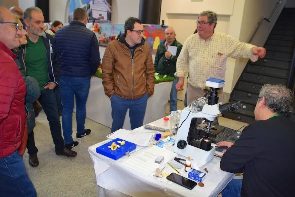 Sesion de microscopio nas Exposicion de cogumelos das Xornadas Micoloxicas de Cee-Foto-Rafa Quintans