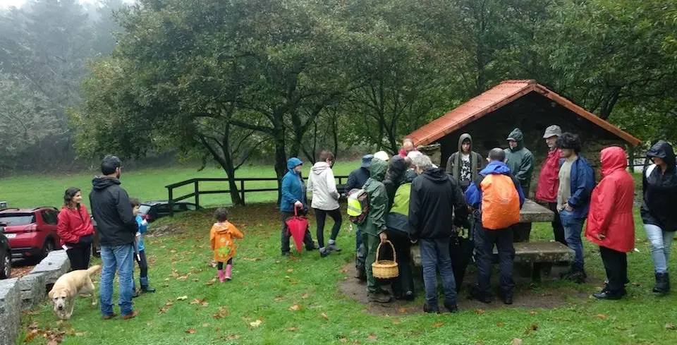 Saida por cogumelos con Pan de Raposo