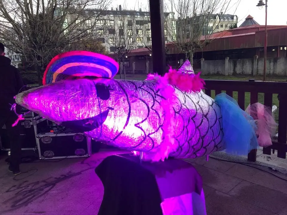 ENtroido Carballo-Sardina