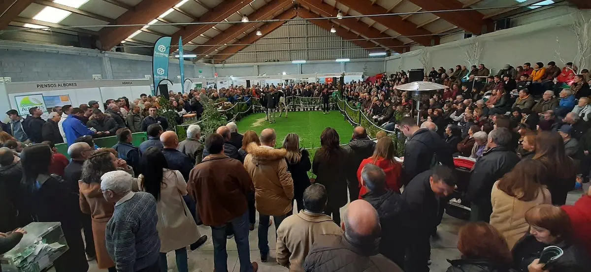 Semana Gandeira Mazaricos 22-Poxa 1