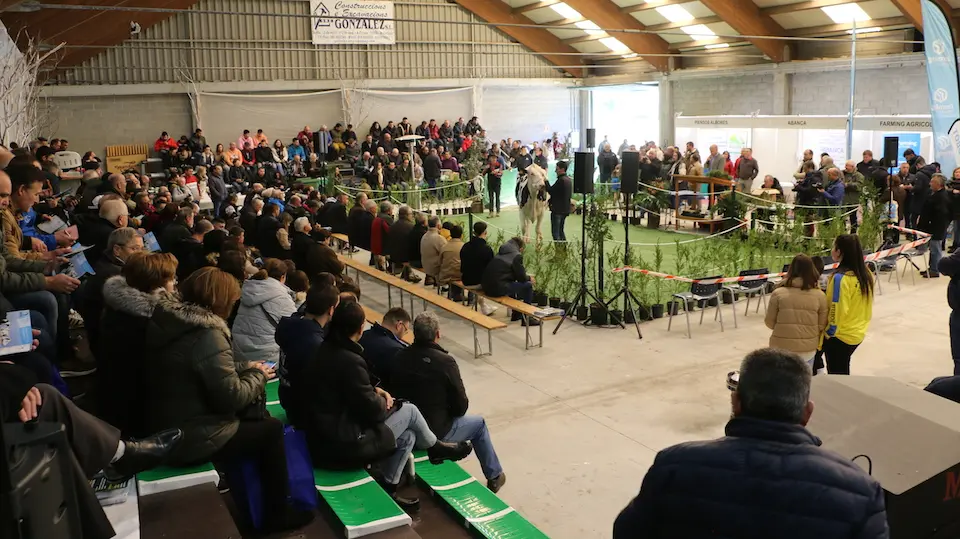 Semana Gandeira Mazaricos 22-Poxa 3