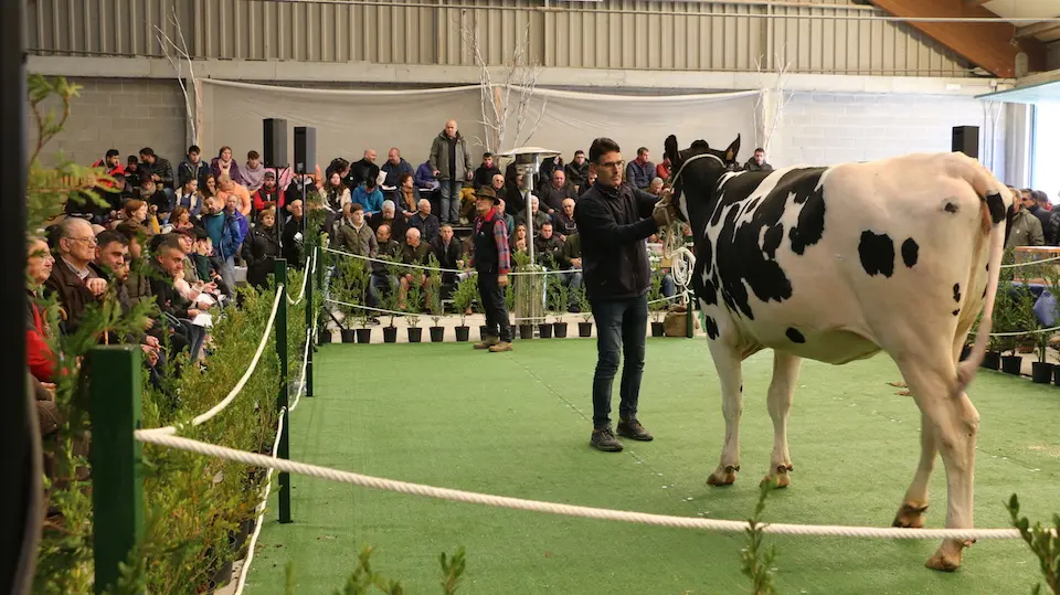 Semana Gandeira Mazaricos 22-Poxa 4