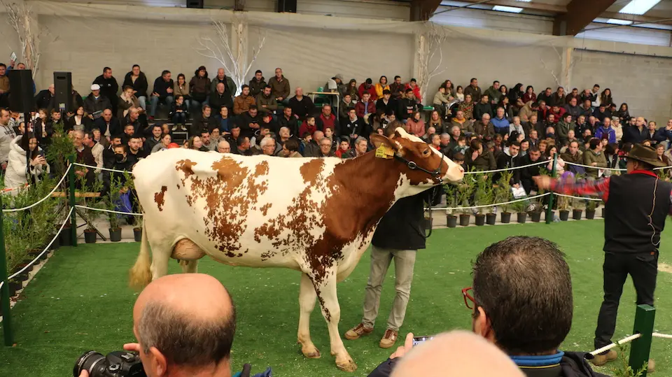 Semana Gandeira Mazaricos 22-Poxa 6