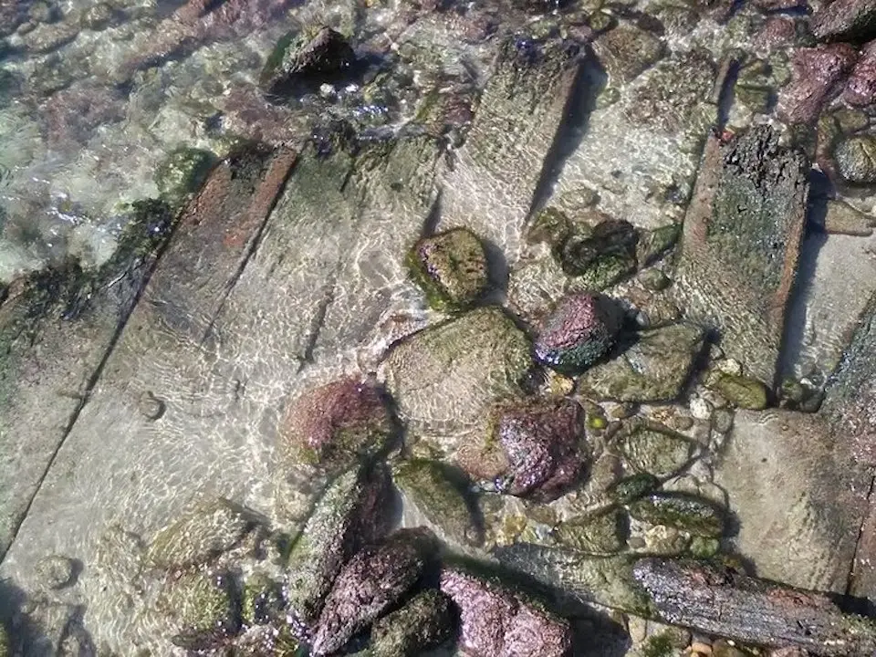 Pecio da Arnela-Corme 2