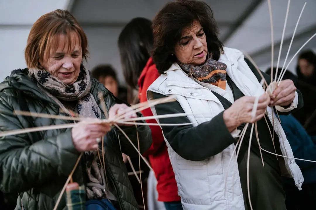 Vindemo Ver Carnota 2024-Cesteria