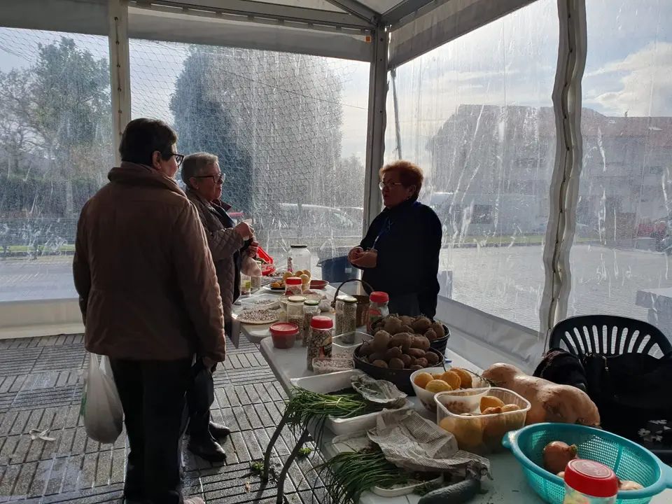 Vindemo Ver Carnota 2024-Produtos Proximidade