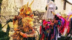 Antroido do Burro de Valenza de Bergantinos 2025