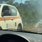 video bulo axentes forestais