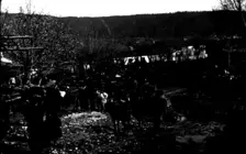Feira de Gando na Serra de Outes polos inicios do século XX. Exposición &ldquo;Outes e as súas xentes&rdquo;, CEIP Serra de Outes, 1999