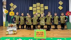 Abellas en Pereiriña