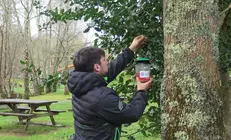 2026.03.06.- Inicio campaña trampeo velutinas. Colocación trampa na área recreativa de Gabenlle-Laracha