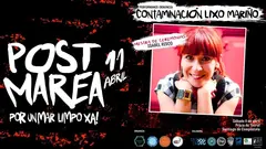 PostMarea accion medioambiental en Santiago