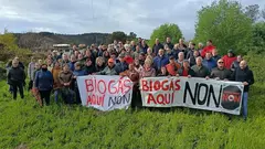 Laracha contra a planta de Biogas