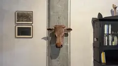 Galeria Manolo Eirin 1