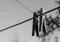 Unha foto do carballes Jose Manuel Perez Pena 