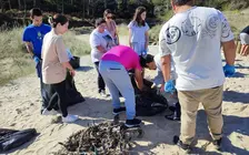 Limpeza de praias con diversiplas