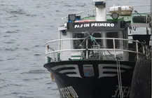 Imaxe do Papin Primero no porto de Fisterra-foto-Carlos Diaz