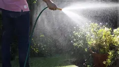 Watering the garden at home in summer