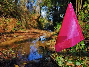 sinalizacion-trail-Filloa-Zas