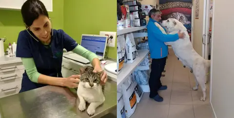 Silvia Souto e Pablo Valle son membros da Clinica Veterinaria Argos e Salvacadelos