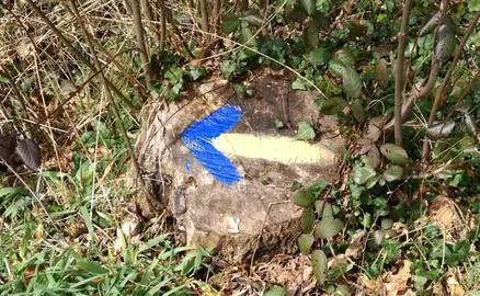 A Via Mariana ao seu paso por Bainas