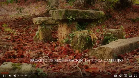Proxecto de rexeneracion da Finca Cambeiro por Boca de Sapo en Corcubion