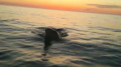 Balea en Fisterra-Foto-Oliver Moure