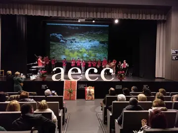 I Festival Solidario contra o Cancro en Cee - Foto Rafa Quintáns