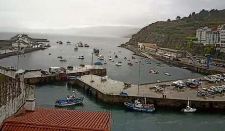 Flota amarrada en Malpica