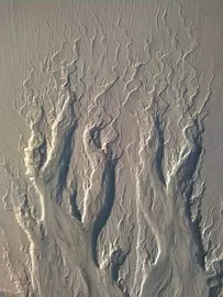 arte efimera de suso lista