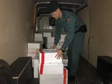 A Garda Civil intercepta un transporte irregular de marisco