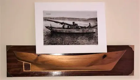 Exposición pataches carenado e foto