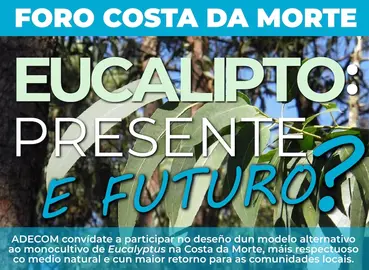 200801 I Foro CDM - Eucalipto copia