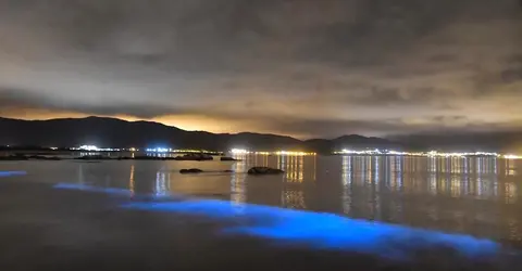 Mar de Ardora en Boca do Rio-Carnota-Foto-Manuel Maria Candamo