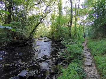 Sendeiro polo rio Anllons dende Verdes