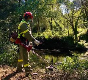 Brigadas prevencion de incendios no Anllons