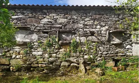 1(Portada) En Boallo,tres Lacenas de abellas nun cabanel dos carros. copia