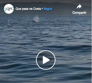 candorcas fisterra video