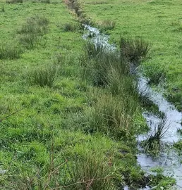 branas ou turbeiras en galicia ameazas