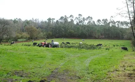Zonas de gandeiria na Costa da orte