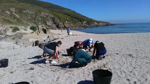 Limpeza praia Seaia-Malpica