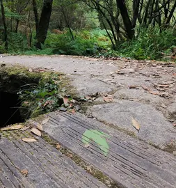 Flecha verde do Camino dos Faros