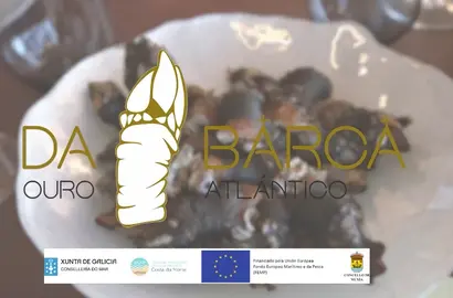 Percebe da Barca Ouro Atlantico