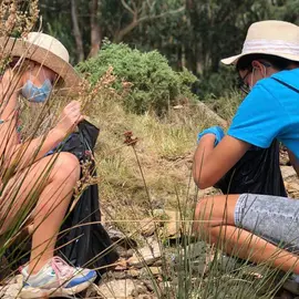 Diversiplas no Festieltras