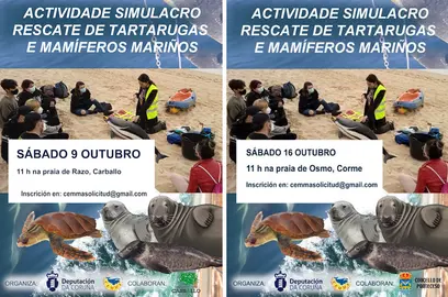 Cemma na rede de varamentos en Carballo e COrme