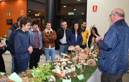 Exposicion de Cogumelos en Cee 2019-Foto-Rafa Quintans