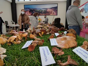 Xornadas Micoloxicas Cee-Foto-Rafa Quintans