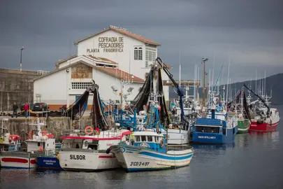 Confraria de Malpica