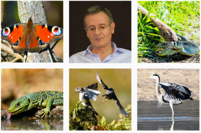 Fotos de Tino CarnotaNatura