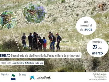 Cartaz Bioblitz_Traba_CaixaBank_DEF